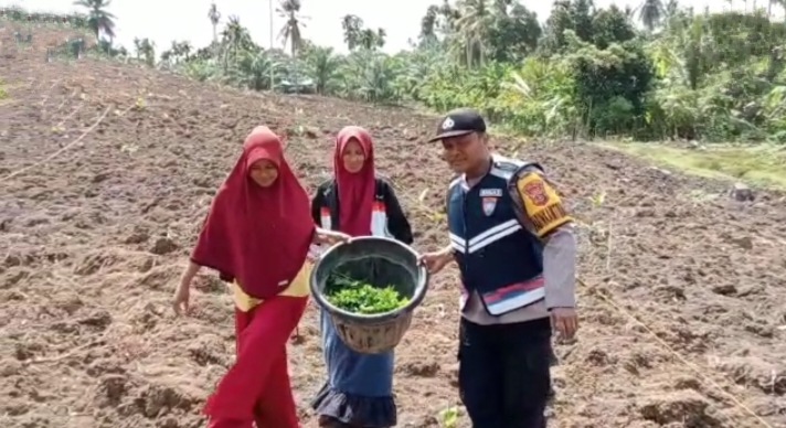 Bentuk Kepedulian, Bhabinkamtibmas Bantu Warga Binaan Menanam Bibit Cabai Rawit.
