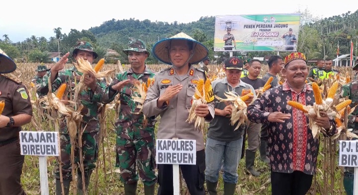 Kapolres Bireuen Hadiri Kegiatan Panen Perdana Jagung Program I’M JAGONG