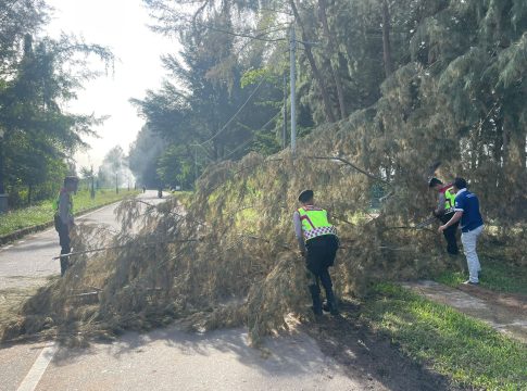 Polisi Aceh Jaya Bertindak Cepat Mengatasi Pohon Tumbang