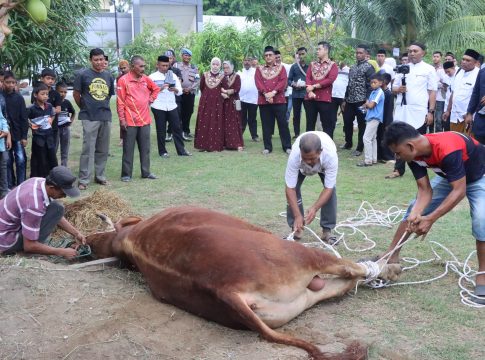 Polda Aceh Gelar Qurban 21 Ekor Sapi Dan 9 Ekor Kambing