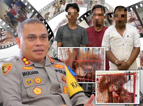 Tiga Pelaku Perdagangan Satwa dilindungi Ditangkap