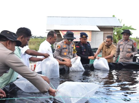 Kapolres Bireuen Serahkan 3000 Bibit Ikan Nila Untuk Masyarakat, Dukung Program Ketahanan Pangan