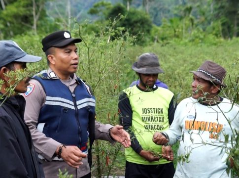 Bripka Adi Syafnur Arisal, Polisi di Aceh yang Inspiratif Mengubah Lahan Ganja jadi Lahan Palawija