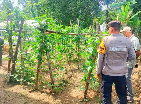 Dukung Program Asta Cita Presiden RI, Bhabinkamtibmas Polsek Montasik Ajak Warga Jadikan Lahan Produktif