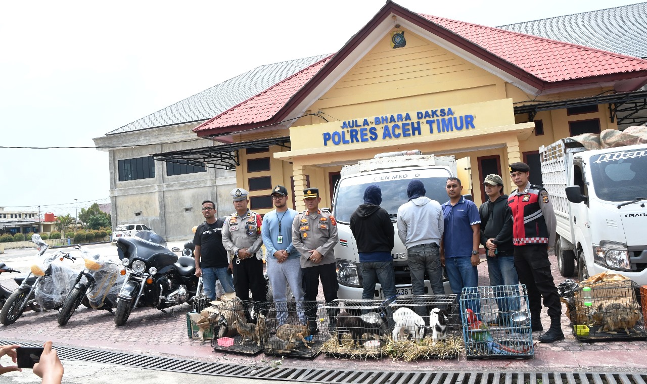 Polres Aceh Timur Amankan Kendaraan Pengangkut Barang dan Hewan Illegal  Yang Diselundupkan Melalui Jalur Laut - Tribratanews Polda Aceh