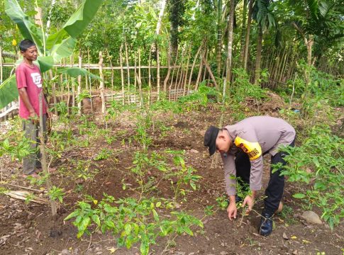 Bhabinkamtibmas Berikan Motivasi Kepada Petani Untuk Mengolah Lahan Pertanian Guna Dukung Program Ketahanan Pangan Nasional