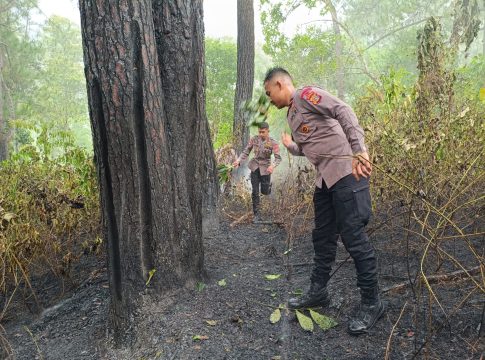 Quick Response Brimob Polda Aceh Tangani Kebakaran Hutan di Lembah Seulawah