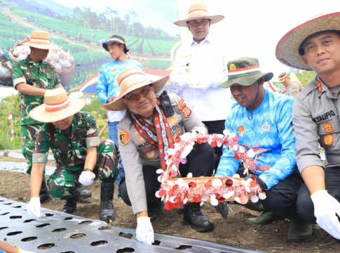Dukung Swasembada Pangan, Kapolda Tanam Bawang Putih di Aceh Tengah